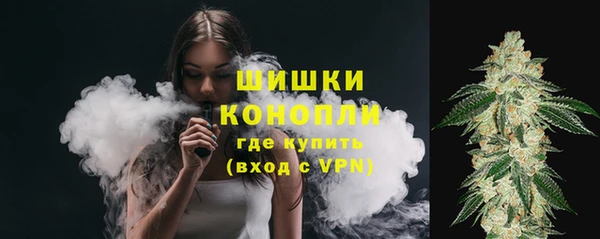 шишки Майский