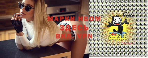 шишки Майский