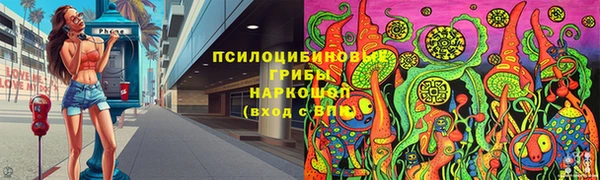 шишки Майский