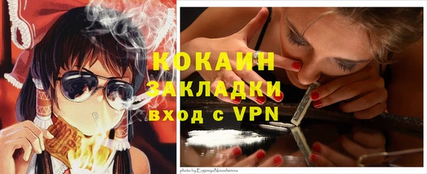 шишки Майский
