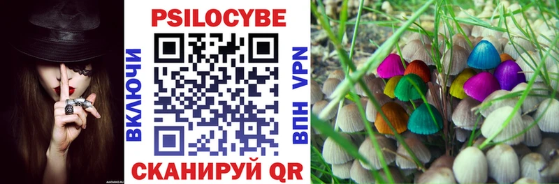 кракен ONION Пенза Псилоцибиновые грибы Magic Shrooms