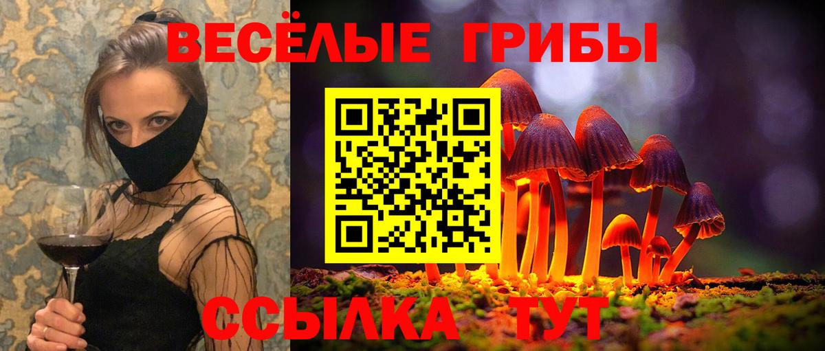 Пенза  Галлюциногенные грибы Cubensis  Вход с VPN  Галлюциногенные грибы Cubensis 