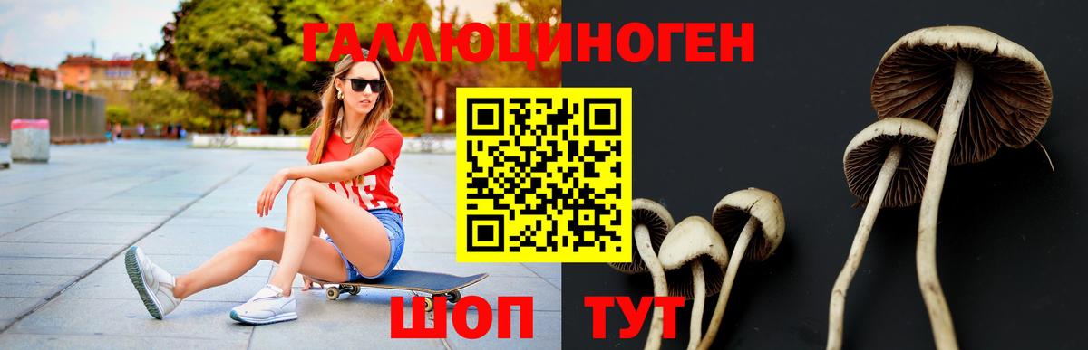 Псилоцибиновые грибы MAGIC MUSHROOMS  как найти наркотики  Псилоцибиновые грибы мицелий  Пенза 
